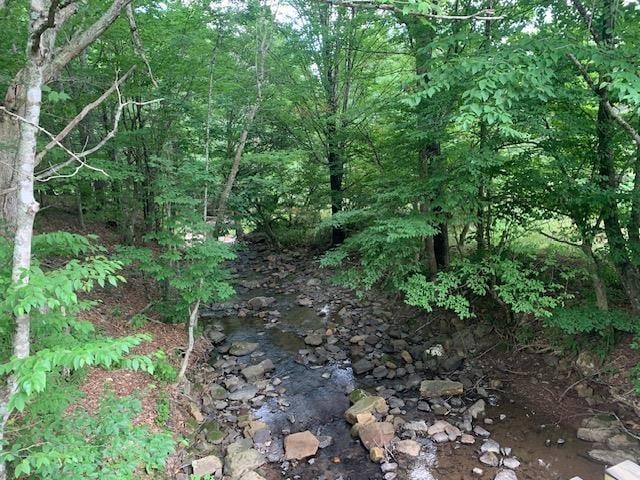 3657 Highland Tpke, Monterey, VA 24465 - photo 5