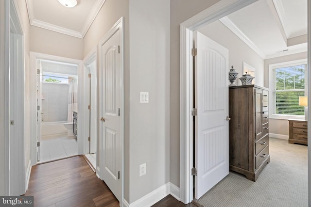 165 Green St, Warrenton, VA 20186 - photo 36