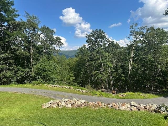 1063 High Valley Dr, Monterey, VA 24465 - view of community with a yard and a wooded view