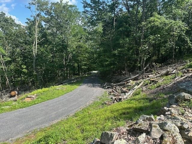 1063 High Valley Dr, Monterey, VA 24465 - view of road