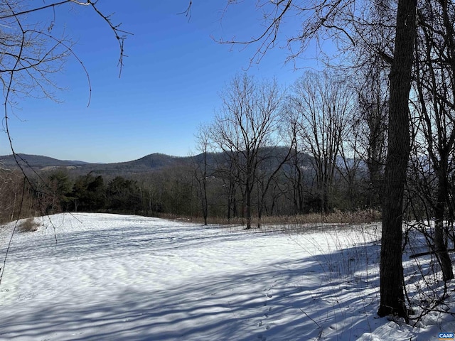 Listing photo 2 for TBD Rockfish Orchard Drive, Afton VA 22920