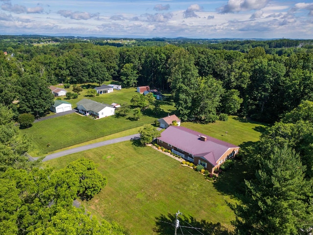 192 Sandy Ridge Rd, Waynesboro, VA 22801 - bird's eye view of a heavily wooded area