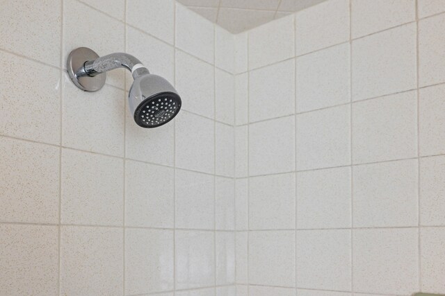 192 Sandy Ridge Rd, Waynesboro, VA 22801 - bathroom view of tiled shower