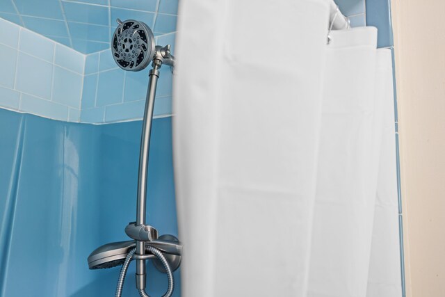 192 Sandy Ridge Rd, Waynesboro, VA 22801 - bathroom view of a shower with shower curtain