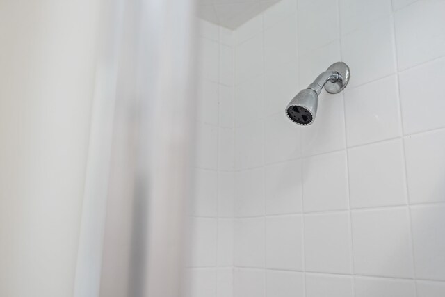 192 Sandy Ridge Rd, Waynesboro, VA 22801 - bathroom view of tiled shower