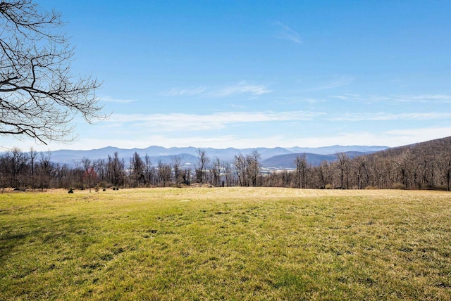 76 Elk Meadow Dr, Afton, VA 22920 - photo 54