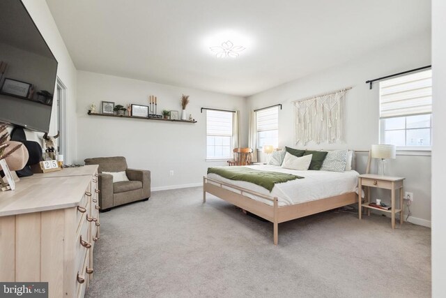 2089 Whithorn Hl, Jeffersonton, VA 22724 - bedroom featuring multiple windows, light colored carpet, and baseboards