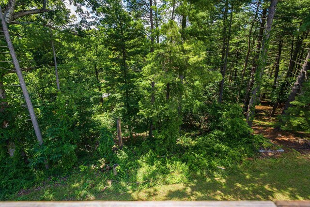 2426 Pinehill Cir, Staunton, VA 24401 - photo 43