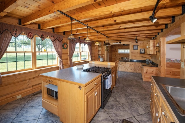 14238 Plains Mill Rd, Timberville, VA 22853 - photo 12