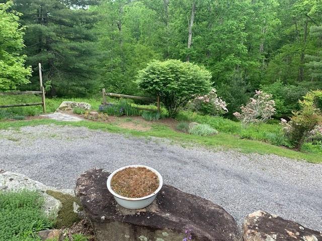 625 Hummingbird Ln, Monterey, VA 24465 - view of road