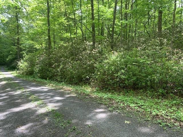 625 Hummingbird Ln, Monterey, VA 24465 - view of street featuring a view of trees