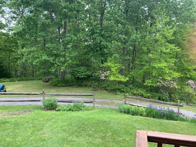 625 Hummingbird Ln, Monterey, VA 24465 - view of green lawn with a forest view