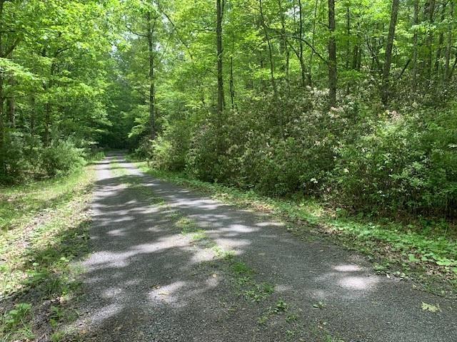 625 Hummingbird Ln, Monterey, VA 24465 - view of street featuring a view of trees