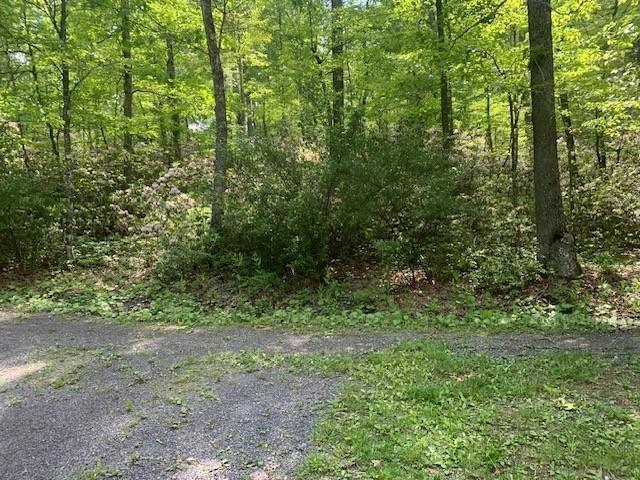 625 Hummingbird Ln, Monterey, VA 24465 - view of yard featuring a forest view