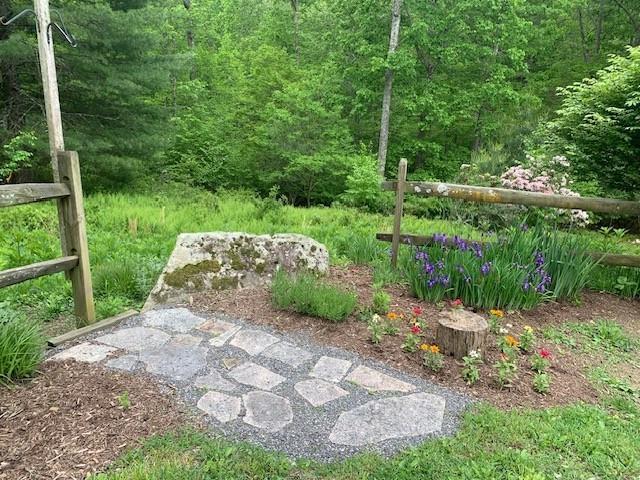 625 Hummingbird Ln, Monterey, VA 24465 - view of yard with a view of trees