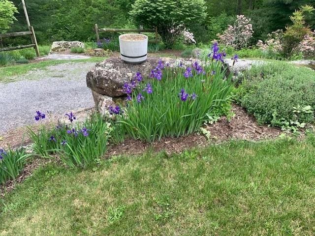 625 Hummingbird Ln, Monterey, VA 24465 - view of yard