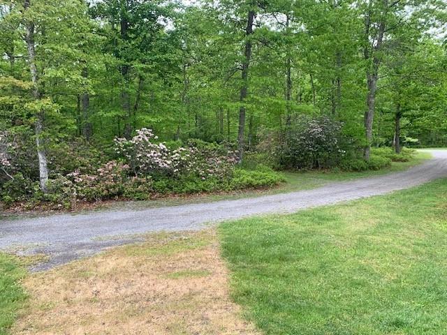 625 Hummingbird Ln, Monterey, VA 24465 - view of road with a forest view