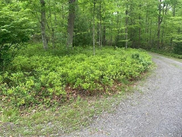625 Hummingbird Ln, Monterey, VA 24465 - view of road with a forest view