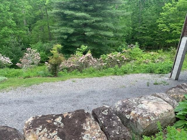 625 Hummingbird Ln, Monterey, VA 24465 - view of yard with a forest view
