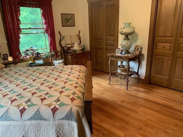 625 Hummingbird Ln, Monterey, VA 24465 - bedroom featuring light wood-style flooring