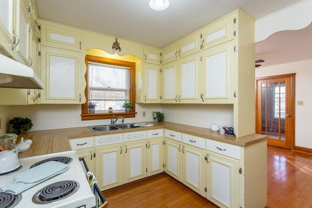 kitchen with sink, light hardwood / wood-style flooring, and white electric range oven