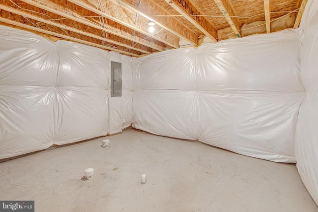 unfinished basement featuring electric panel