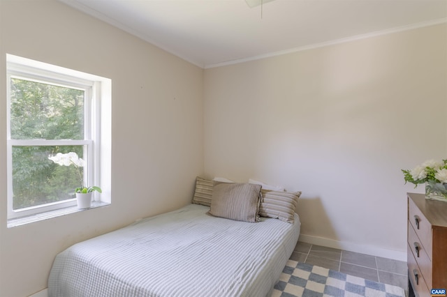 5072 Scottsville Rd, Charlottesville, VA 22902 - tiled bedroom featuring multiple windows and crown molding