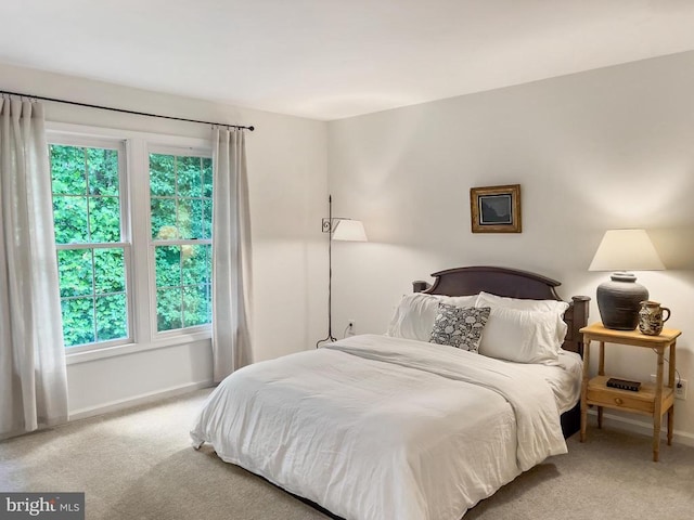 11600 Saddleback Dr, Fredericksburg, VA 22407 - bedroom featuring carpet and baseboards