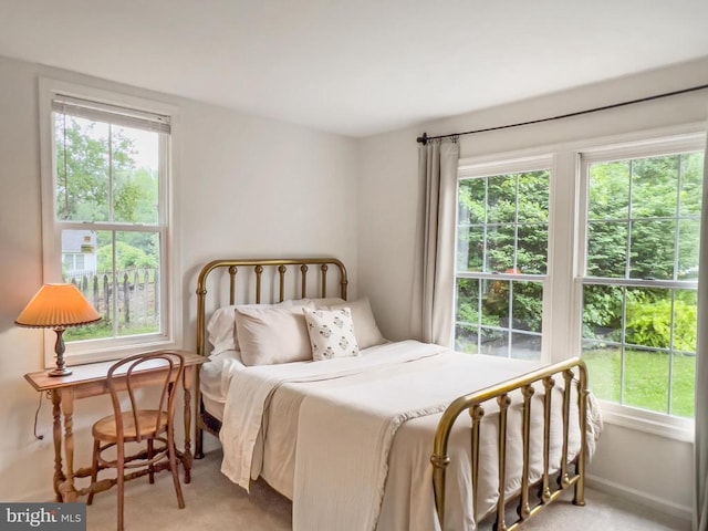 11600 Saddleback Dr, Fredericksburg, VA 22407 - view of carpeted bedroom