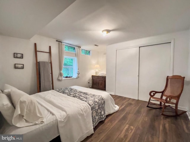 11600 Saddleback Dr, Fredericksburg, VA 22407 - bedroom with dark wood-style flooring and a closet