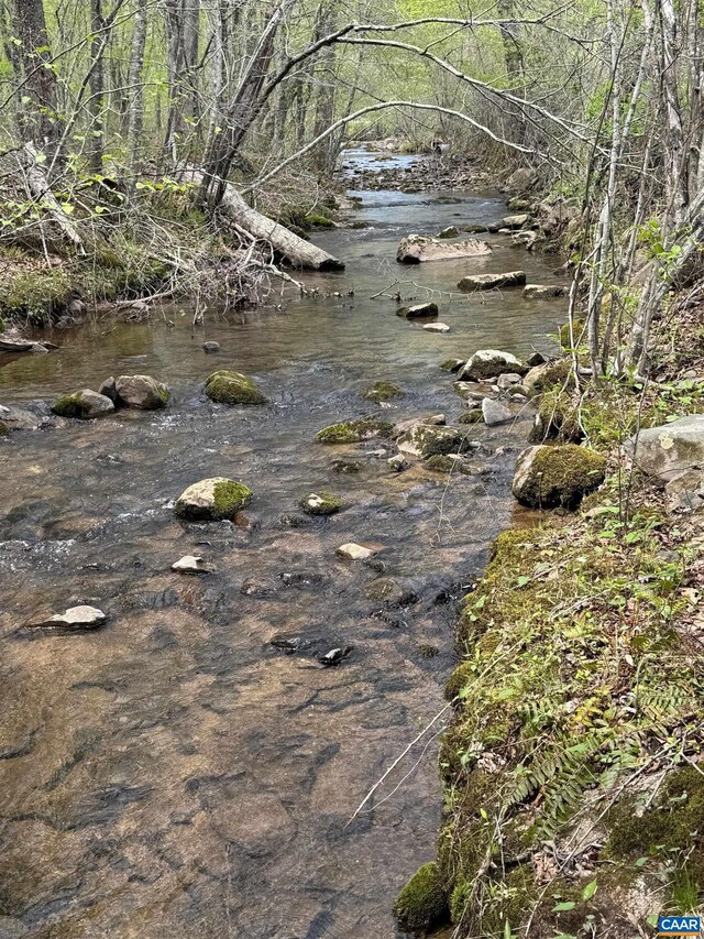 7035 Blackwells Hollow Rd, Crozet, VA 22932 - view of undeveloped land
