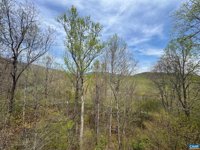 7035 Blackwells Hollow Rd, Crozet, VA 22932 - view of tree filled area