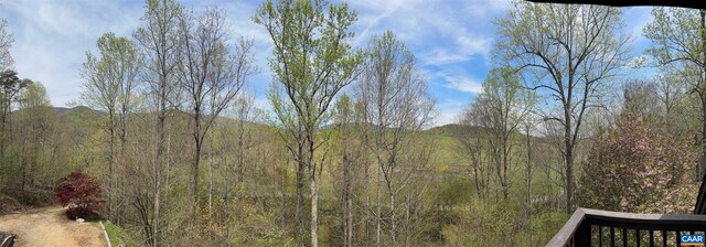 7035 Blackwells Hollow Rd, Crozet, VA 22932 - view of woods