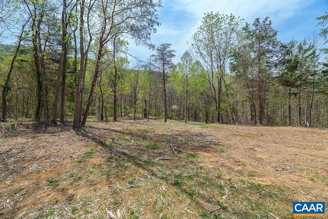 7035 Blackwells Hollow Rd, Crozet, VA 22932 - view of woods