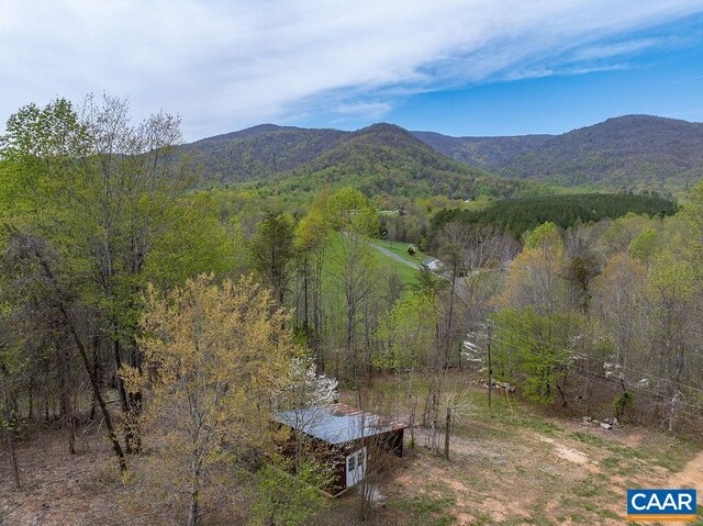 7035 Blackwells Hollow Rd, Crozet, VA 22932 - view of mountain backdrop featuring a forest