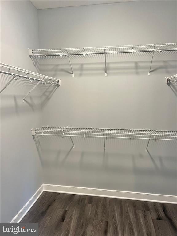 310 Hunt Hvn, Mineral, VA 23117 - spacious closet featuring wood finished floors