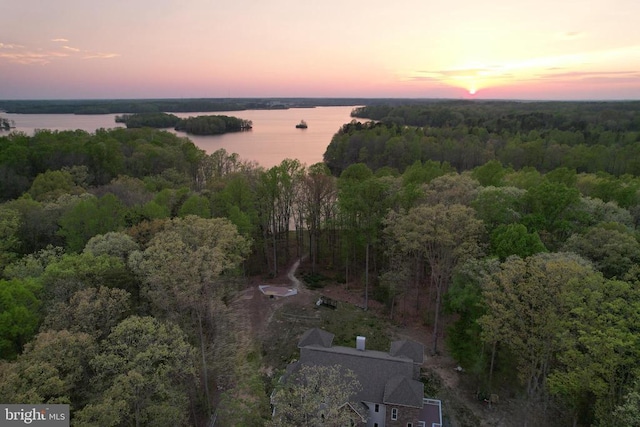 12029 Sycamore Shoals Dr, Bumpass, VA 23024 - photo 8