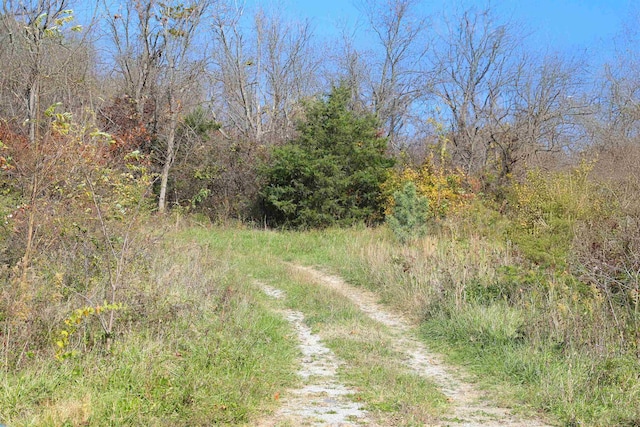 TBD Folly Mills Station Rd, Staunton, VA 24401 - photo 2