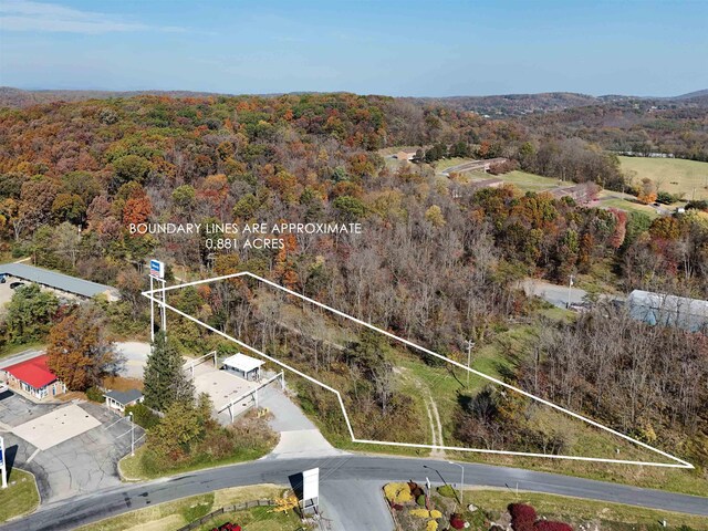 TBD Folly Mills Station Rd, Staunton, VA 24401 - photo 3