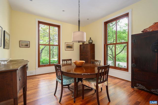 1112 Park St, Charlottesville, VA 22901 - dining space with healthy amount of natural light and wood finished floors