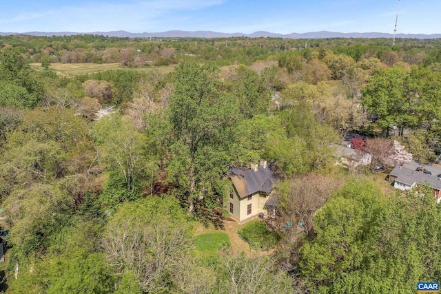 1112 Park St, Charlottesville, VA 22901 - view from above of property with a forest and a mountain backdrop