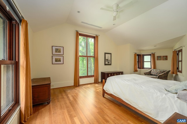 1112 Park St, Charlottesville, VA 22901 - bedroom featuring lofted ceiling, light wood-style flooring, and ceiling fan