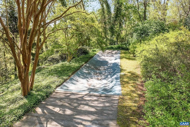 1112 Park St, Charlottesville, VA 22901 - view of community featuring a forest view