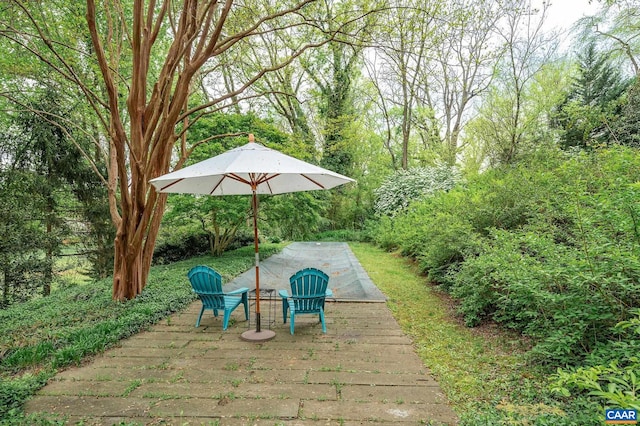 1112 Park St, Charlottesville, VA 22901 - view of patio