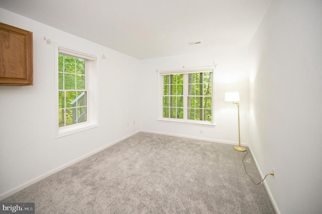 spare room with plenty of natural light, baseboards, and carpet flooring