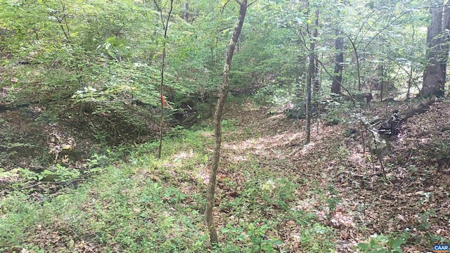 983 Williamstown Rd, Shipman, VA 22971 - view of tree filled area