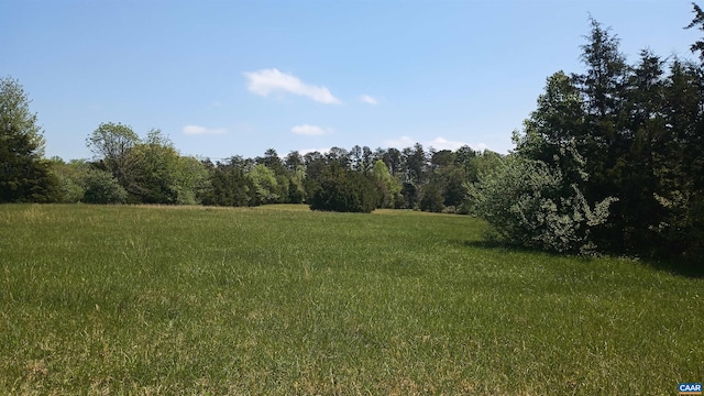 983 Williamstown Rd, Shipman, VA 22971 - view of local wilderness