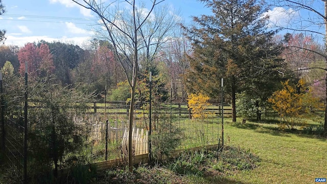 983 Williamstown Rd, Shipman, VA 22971 - view of yard