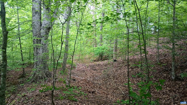 983 Williamstown Rd, Shipman, VA 22971 - view of tree filled area
