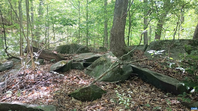 983 Williamstown Rd, Shipman, VA 22971 - view of woods